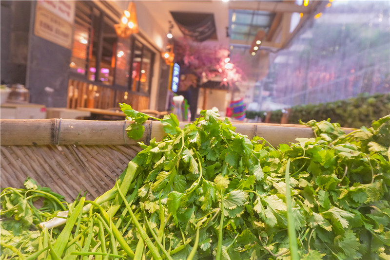 串串香门店利润
